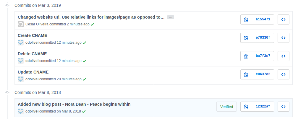 a picture showing the project commit history, with several commits coming from me
